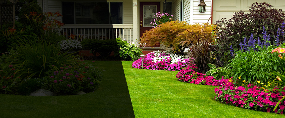 Lewisville Landscapers